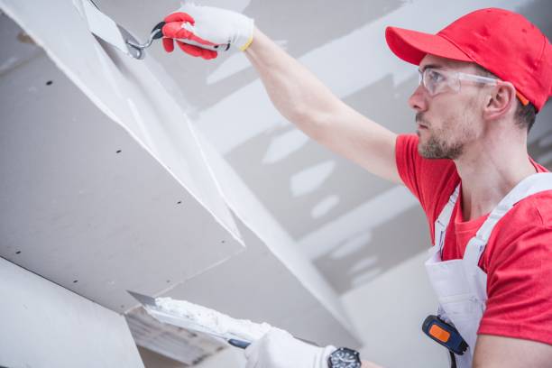 Best Water-Damaged Drywall Repair  in Union City, IN